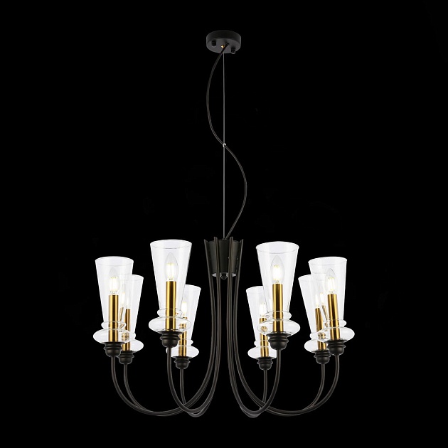 Подвесная люстра Evoluce Rammo SLE112403-08 Фото № 5