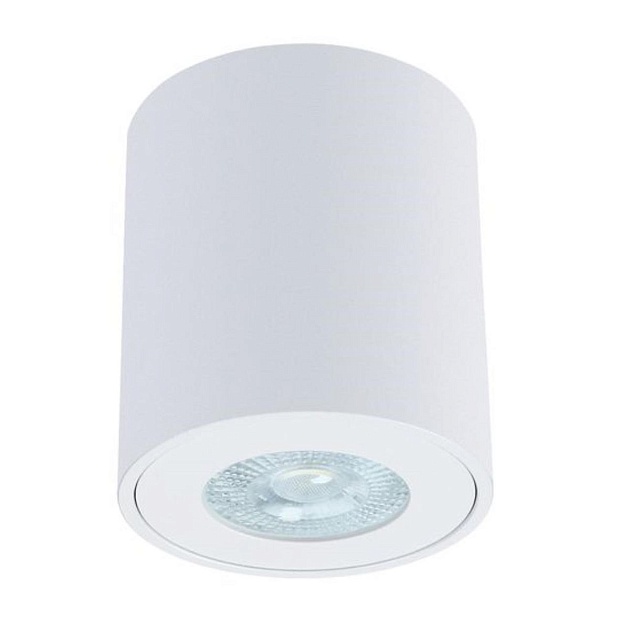 Потолочный светильник Arte Lamp Tino A1469PL-1WH Фото № 1
