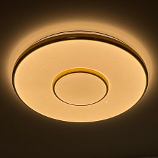 Потолочный светодиодный светильник Profit Light 2096/350 WH+CR 2