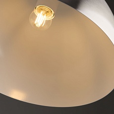 Подвесной светильник Freya Eleon FR5218PL-01N 1