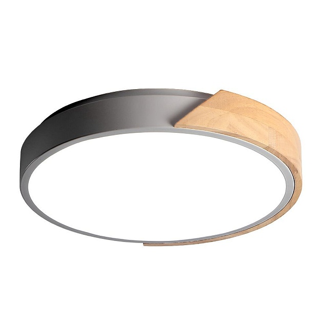 Потолочный светодиодный светильник Jazzway PPB Sсandic-R 5037090 Фото № 1
