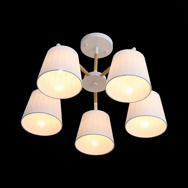 Потолочная люстра Evoluce Passeto SL375.502.05 Фото № 3