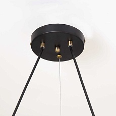 Подвесная люстра Citilux Планета CL105195 4