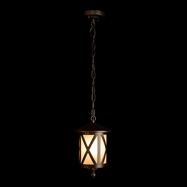 Уличный подвесной светильник Loft IT Ravenna 100016P Фото № 4