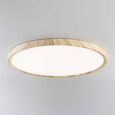 Потолочный светильник Citilux Бейсик Клен CL738322V 4