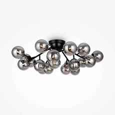 Потолочная люстра Maytoni Dallas MOD545CL-20B 2