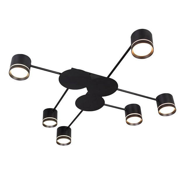 Потолочная люстра Arte Lamp Legacy A8024PL-6BK Фото № 1