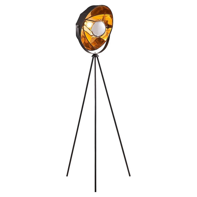 Торшер Lussole Lgo Klamath LSP-0556 Фото № 1