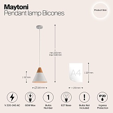 Подвесной светильник Maytoni Bicones P359-PL-01-W 1