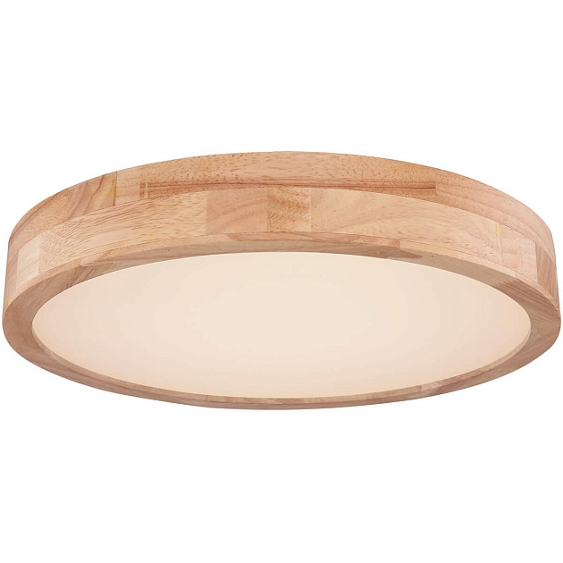 Потолочный светодиодный светильник Globo Rainer 41745-24 Фото № 1