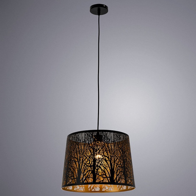 Подвесной светильник Arte Lamp Celesta A2769SP-1BK Фото № 3