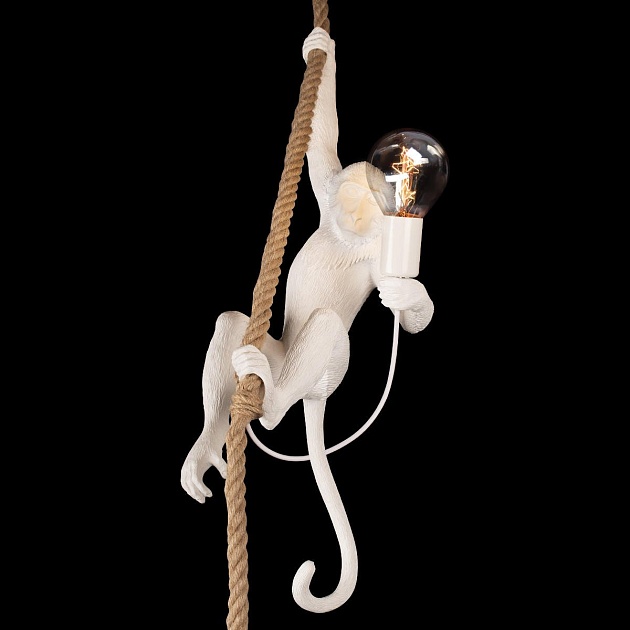 Подвесной светильник Loft IT Monkey 10314P Фото № 6