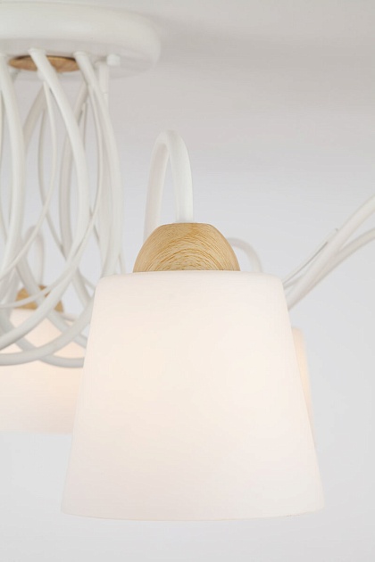 Потолочная люстра Eurosvet Betty 70062/8 белый Фото № 4