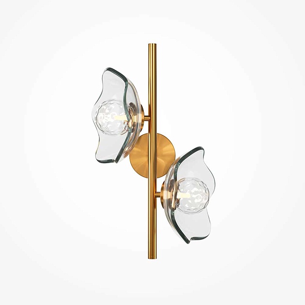 Бра Maytoni Miracle MOD207WL-02BS Фото № 1