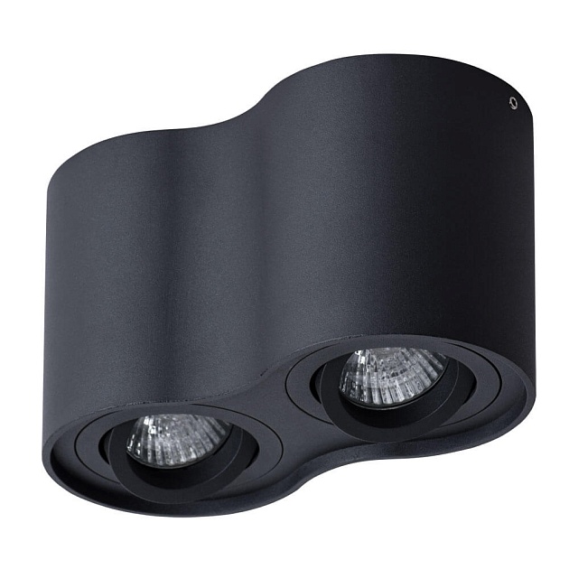Потолочный светильник Arte Lamp Falcon A5645PL-2BK Фото № 1