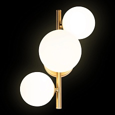 Бра Loft IT Tely 10236/3W 1