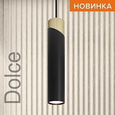Потолочный светильник WOLTA WSL-GU10/P06BG