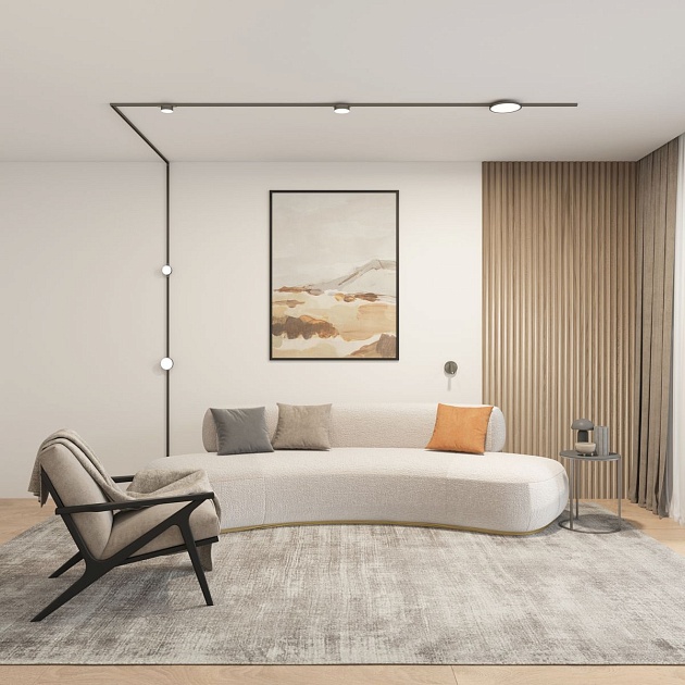 Трековый светодиодный светильник Denkirs Shine Flow DK5762-DN Фото № 3
