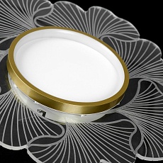 Потолочный светодиодный светильник Lussole Benton LSP-7340 2