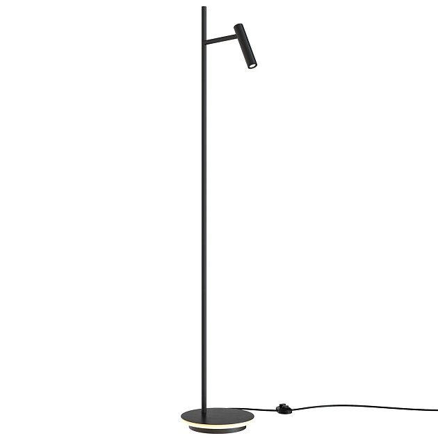 Торшер Maytoni Estudo Z010FL-L8B3K Фото № 8