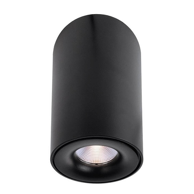 Накладной светильник Deko-Light Bengala LED 348030 изображение 1 Накладной светильник Deko-Light Bengala LED 348030 Фото № 1