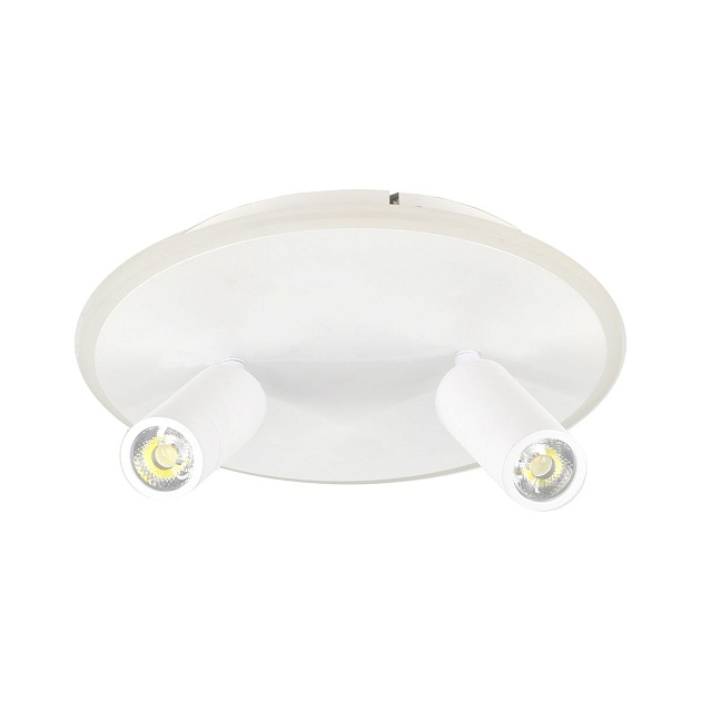 Потолочный светодиодный светильник Escada 20046SMA/02LED WH Фото № 1