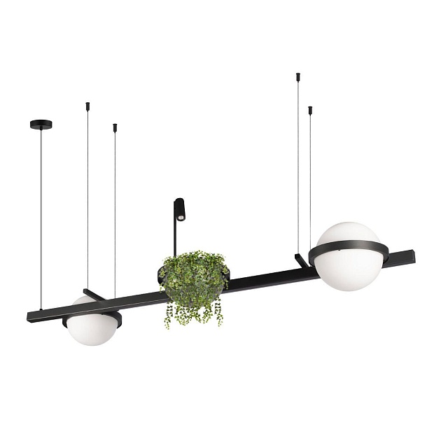 Подвесной светодиодный светильник Loft IT Jardin 10121/D Фото № 4