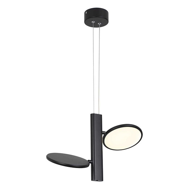 Подвесная светодиодная люстра Lussole Loft Aberdeen LSP-7084 Фото № 1