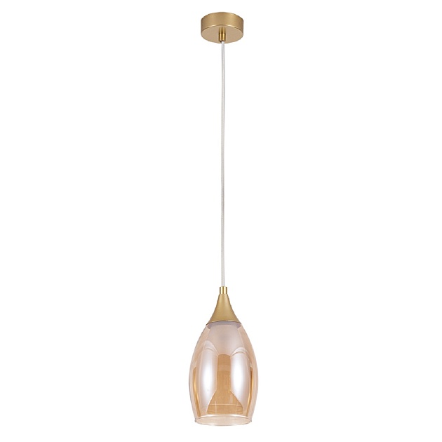 Подвесной светильник Arte Lamp Barry A7951SP-1GO Фото № 1
