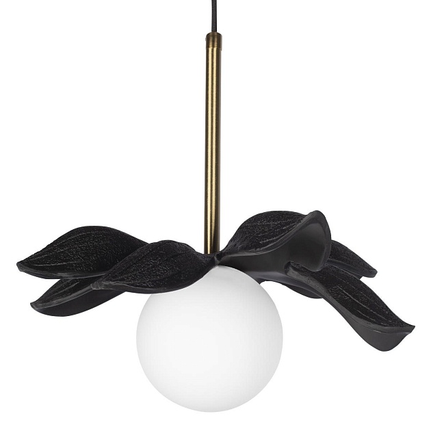 Подвесной светильник Loft IT Monro 10213/A Black Фото № 3