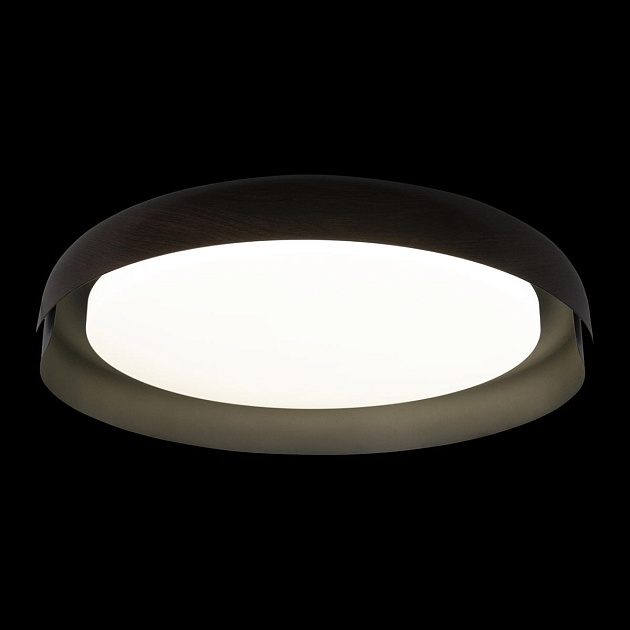 Потолочный светодиодный светильник Loft IT Coin 10198 Black изображение 6 Потолочный светодиодный светильник Loft IT Coin 10198 Black Фото № 6