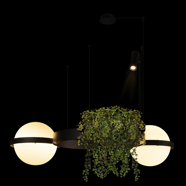 Подвесной светодиодный светильник Loft IT Jardin 10121/2 Фото № 4