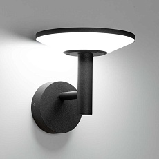 Уличный настенный светильник Citilux Dorn CLU05W 3