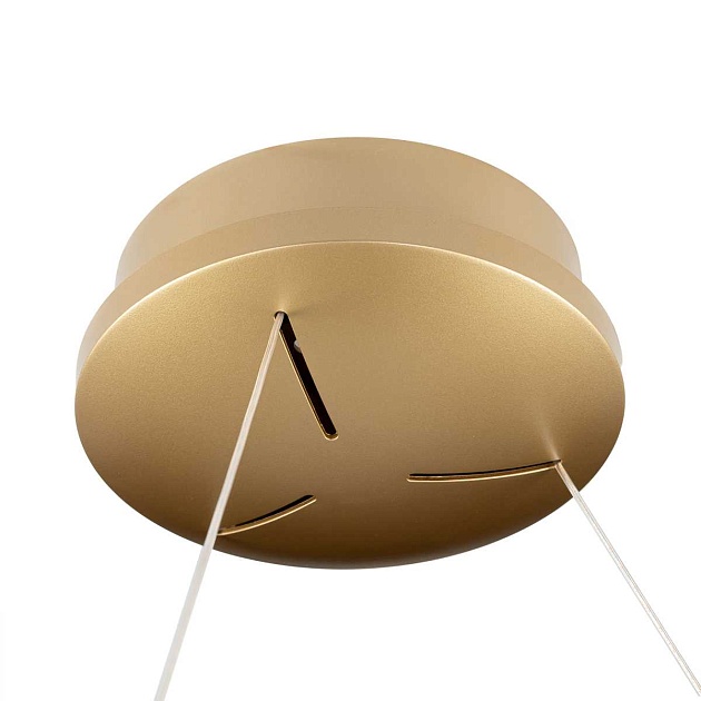 Люстра Citilux PYTHON CL220283 Фото № 12