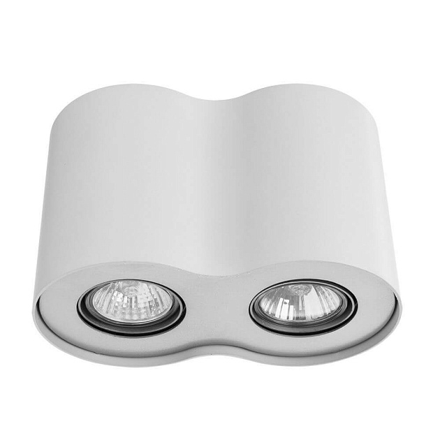 Потолочный светильник Arte Lamp Falcon A5633PL-2WH Фото № 1