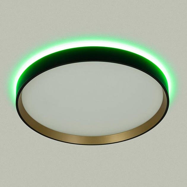 Светильник с пультом Citilux ETALON CL750321R Фото № 17