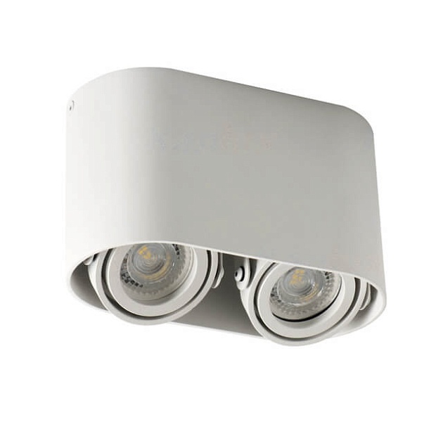 Накладной точечный светильник Kanlux TOLEO DTO250-W 26117 Фото № 1