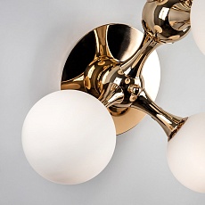 Бра Modelux Modestyle MS.6116.05 GD 4