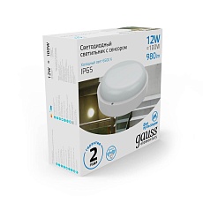 Уличный светодиодный светильник Gauss 126411312-S 3