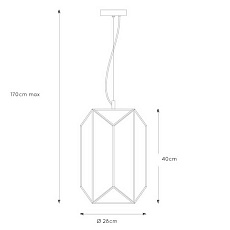 Подвесной светильник Lucide Fern 25406/01/30 1