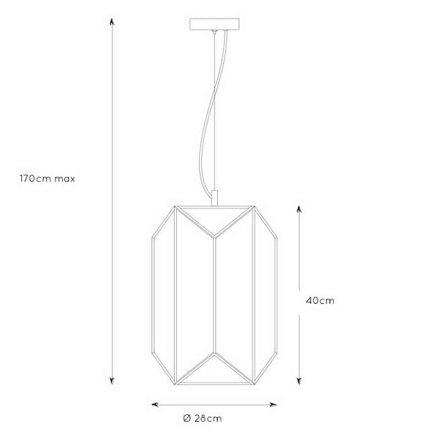 Подвесной светильник Lucide Fern 25406/01/30 Фото № 2