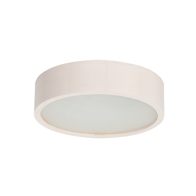 Настенный потолочный светильник Kanlux JASMIN 270-W 23123 Фото № 1