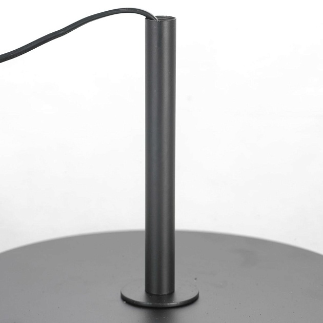 Торшер Lussole Lgo LSP-0590 Фото № 6