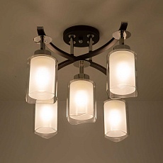 Спот Citilux Фортуна CL156152 4