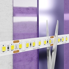 Светодиодная лента Maytoni Technical 20W/m 180LED/m 2835SMD дневной белый 5M 10155 1