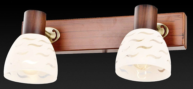 Спот Toplight Shayla TL3730Y-02BB Фото № 3