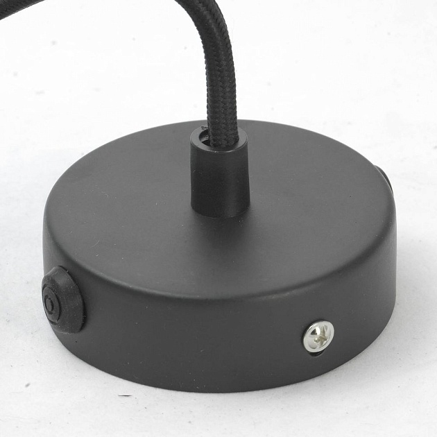 Подвесной светильник Lussole Loft Centereach GRLSP-9888 Фото № 4