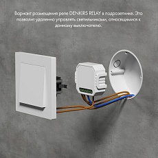 Wi-Fi реле-выключатель одноканальное Denkirs 1x2300Вт/250Вт для LED RL1001-SM/1 2