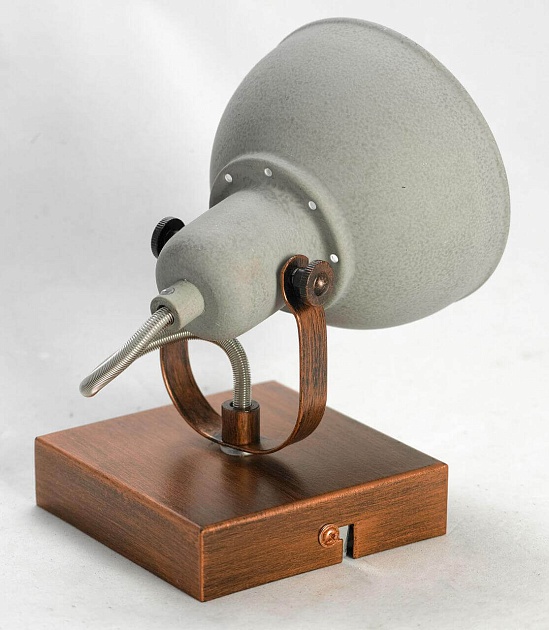 Спот Lussole Loft Diana LSP-9828 Фото № 3