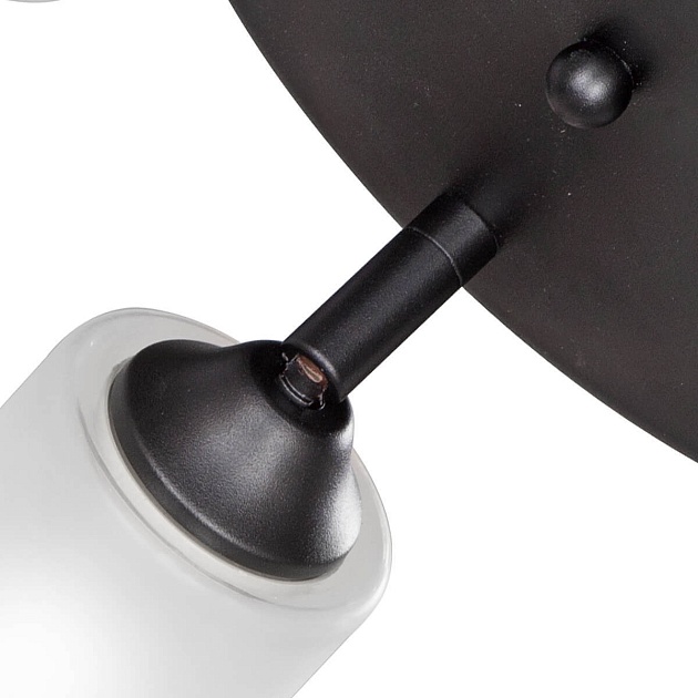 Спот Vitaluce V4294-1/3PL Фото № 2